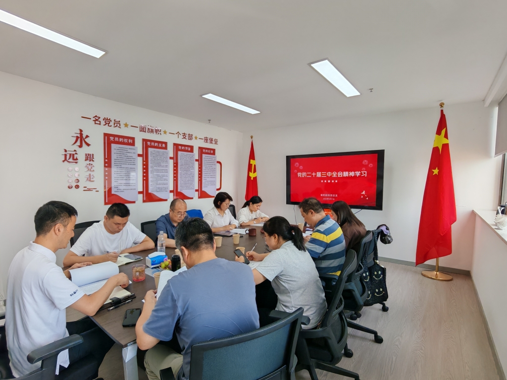 深入贯彻党的二十届三中全会精神，全力开启奋进新局面---省纺研所公司在宁召开党总支扩大会