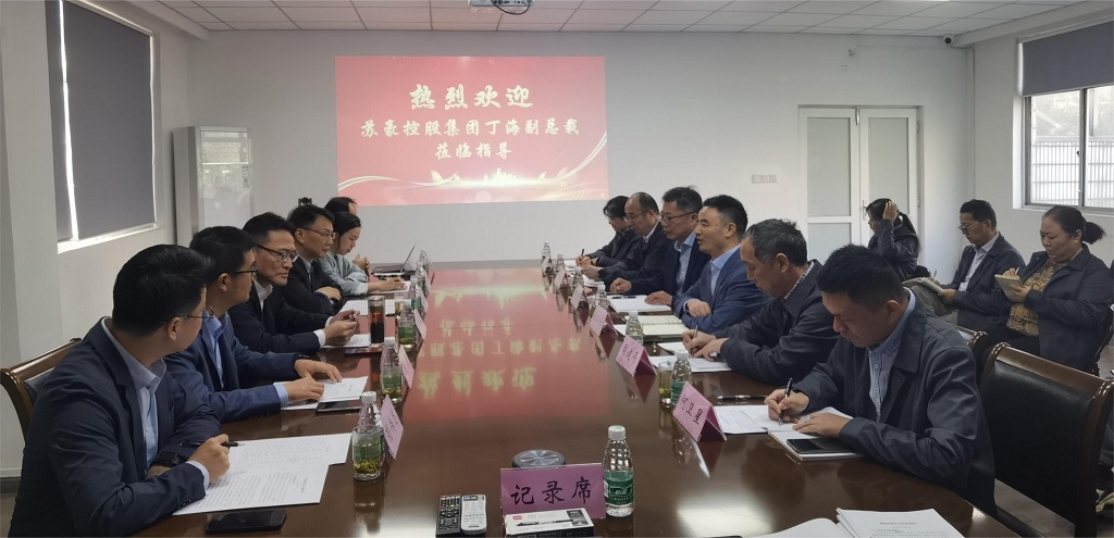 苏豪控股集团副总裁丁海调研省纺研所公司